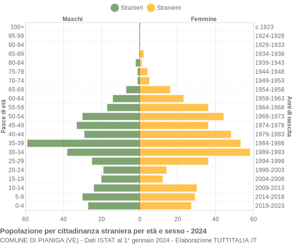 Grafico cittadini stranieri - Pianiga 2024