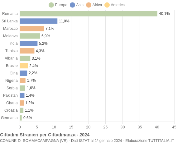 Grafico cittadinanza stranieri - Sommacampagna 2024