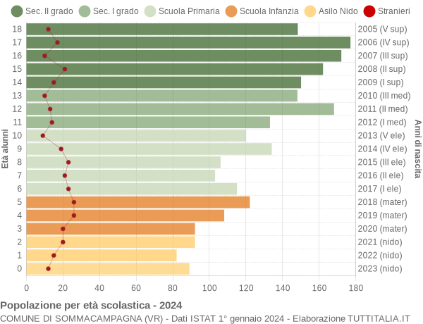 Grafico Popolazione in età scolastica - Sommacampagna 2024