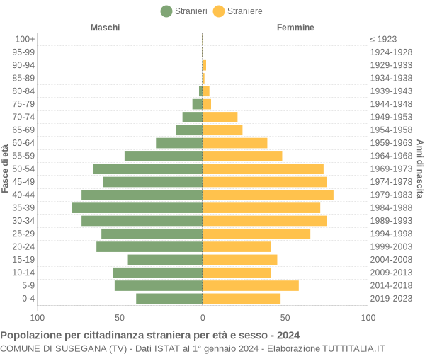 Grafico cittadini stranieri - Susegana 2024