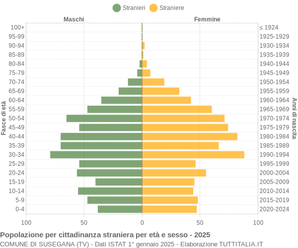 Grafico cittadini stranieri - Susegana 2025