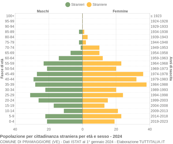 Grafico cittadini stranieri - Pramaggiore 2024