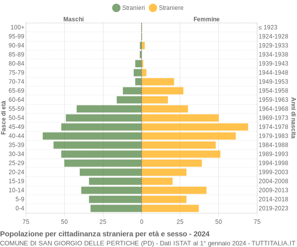 Grafico cittadini stranieri - San Giorgio delle Pertiche 2024