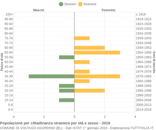 Grafico cittadini stranieri - Voltago Agordino 2019