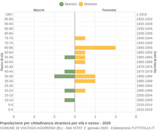 Grafico cittadini stranieri - Voltago Agordino 2020