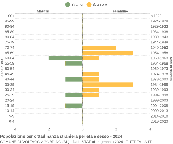 Grafico cittadini stranieri - Voltago Agordino 2024