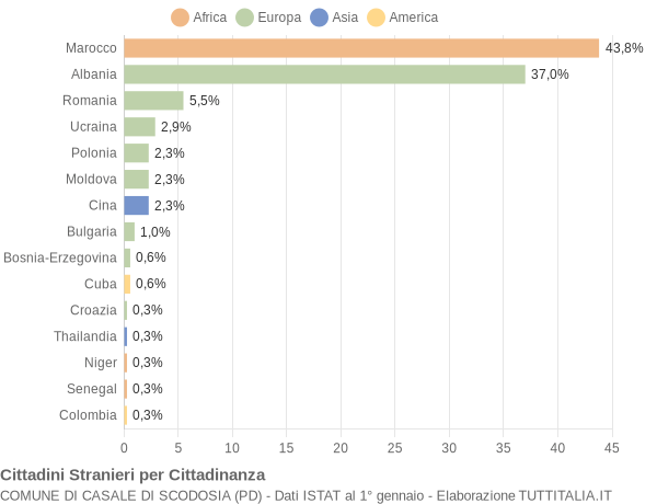 Grafico cittadinanza stranieri - Casale di Scodosia 2006