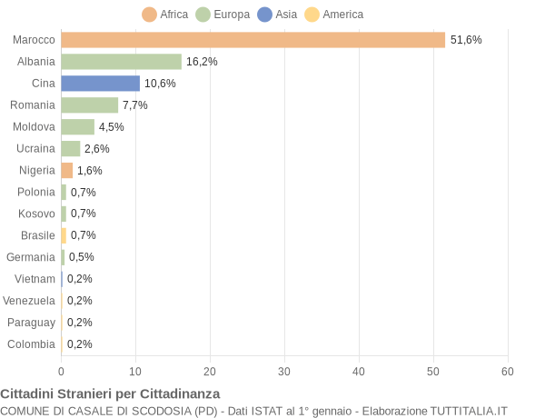 Grafico cittadinanza stranieri - Casale di Scodosia 2020