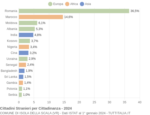 Grafico cittadinanza stranieri - Isola della Scala 2024