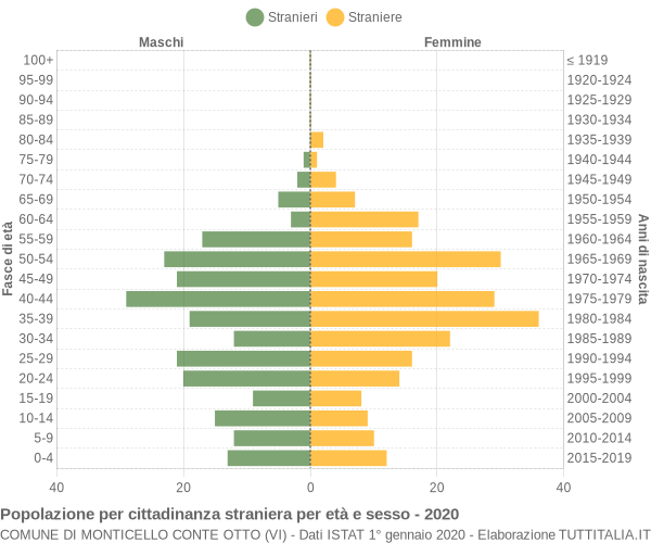 Grafico cittadini stranieri - Monticello Conte Otto 2020