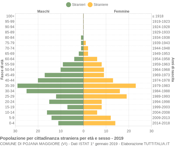 Grafico cittadini stranieri - Pojana Maggiore 2019