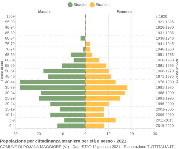 Grafico cittadini stranieri - Pojana Maggiore 2021