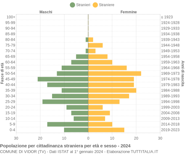 Grafico cittadini stranieri - Vidor 2024