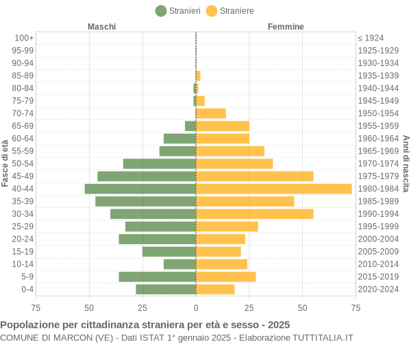 Grafico cittadini stranieri - Marcon 2025