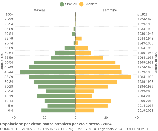 Grafico cittadini stranieri - Santa Giustina in Colle 2024