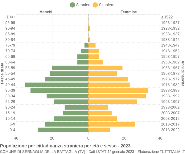 Grafico cittadini stranieri - Sernaglia della Battaglia 2023