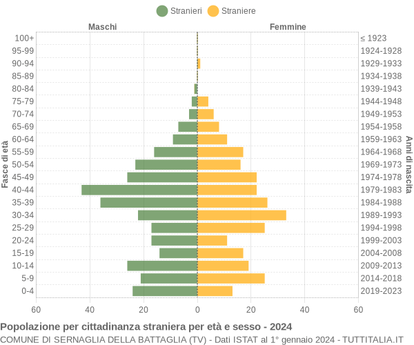 Grafico cittadini stranieri - Sernaglia della Battaglia 2024