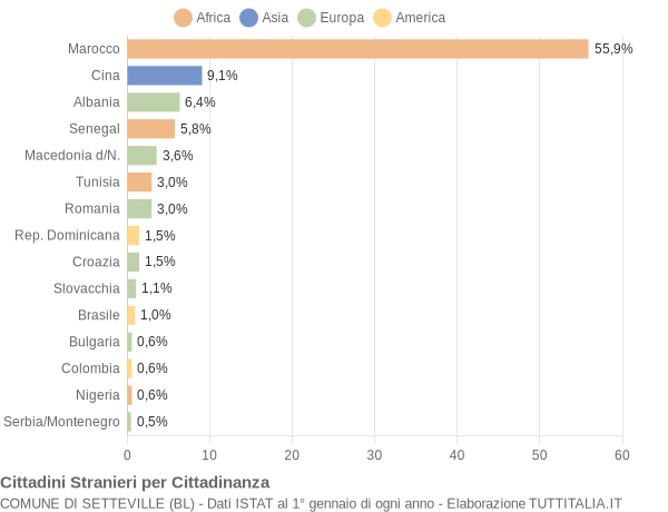 Grafico cittadinanza stranieri - Setteville 2004