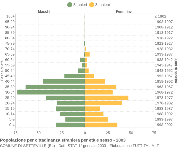 Grafico cittadini stranieri - Setteville 2003