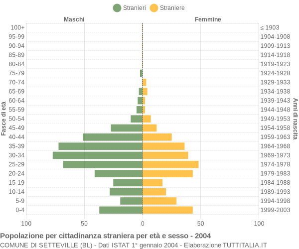 Grafico cittadini stranieri - Setteville 2004