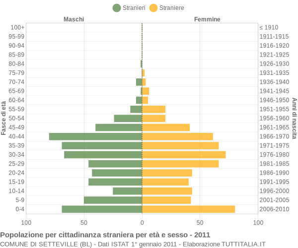 Grafico cittadini stranieri - Setteville 2011