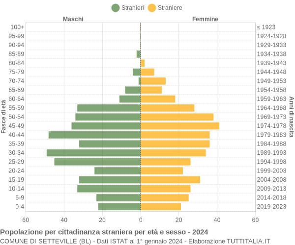 Grafico cittadini stranieri - Setteville 2024