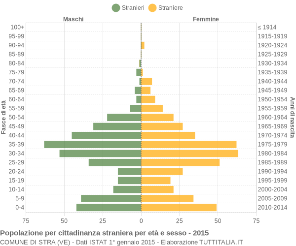 Grafico cittadini stranieri - Stra 2015