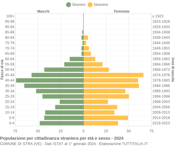 Grafico cittadini stranieri - Stra 2024