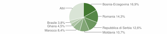 Grafico cittadinanza stranieri - Breganze 2015