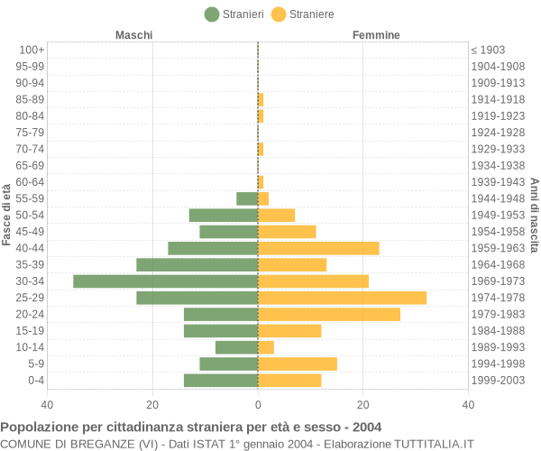 Grafico cittadini stranieri - Breganze 2004