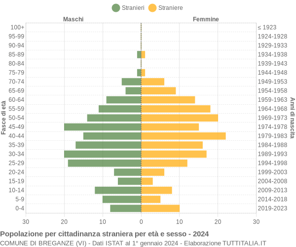 Grafico cittadini stranieri - Breganze 2024