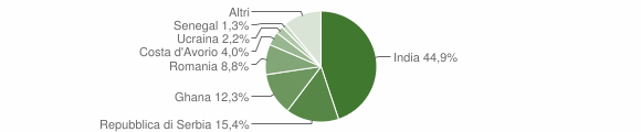 Grafico cittadinanza stranieri - Brogliano 2015