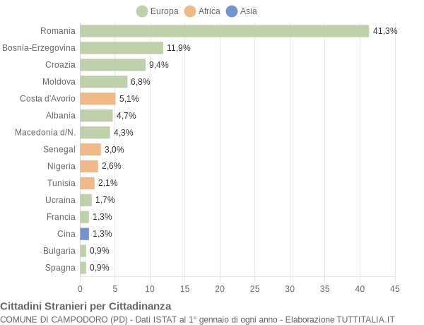 Grafico cittadinanza stranieri - Campodoro 2008