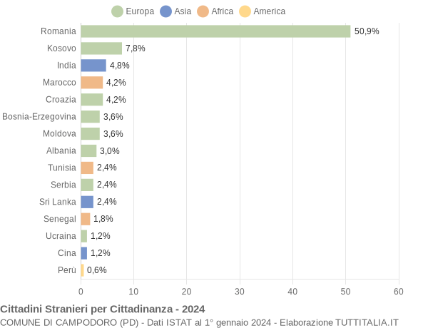 Grafico cittadinanza stranieri - Campodoro 2024