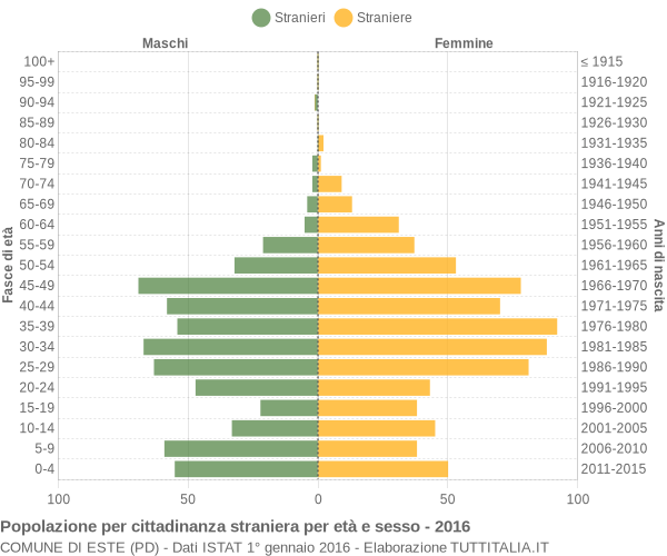 Grafico cittadini stranieri - Este 2016