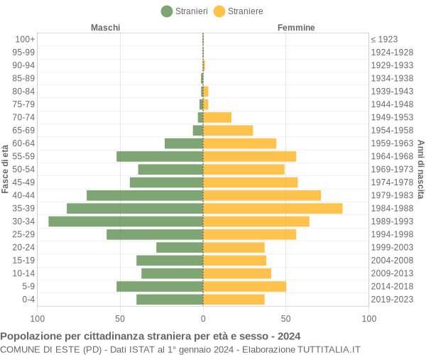 Grafico cittadini stranieri - Este 2024