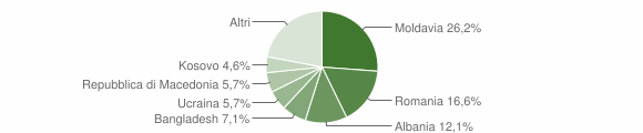Grafico cittadinanza stranieri - Spinea 2013