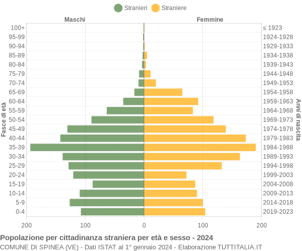 Grafico cittadini stranieri - Spinea 2024