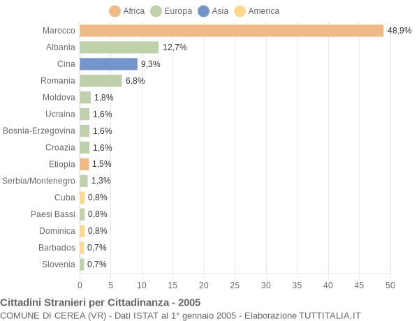 Grafico cittadinanza stranieri - Cerea 2005