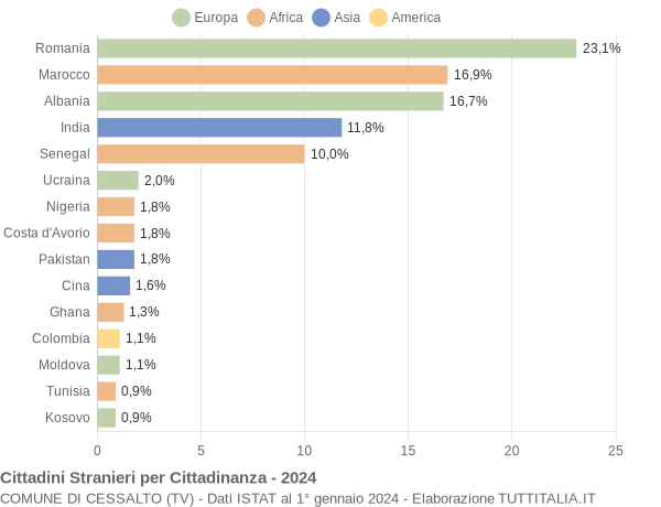 Grafico cittadinanza stranieri - Cessalto 2024