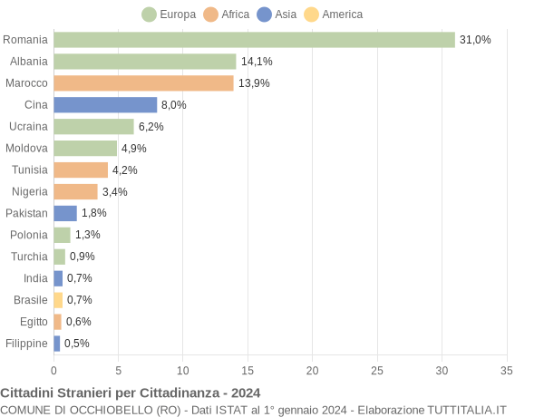 Grafico cittadinanza stranieri - Occhiobello 2024