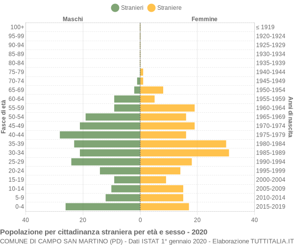 Grafico cittadini stranieri - Campo San Martino 2020