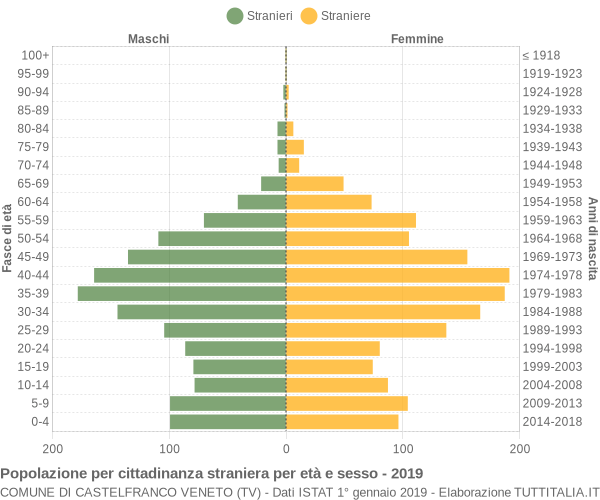 Grafico cittadini stranieri - Castelfranco Veneto 2019