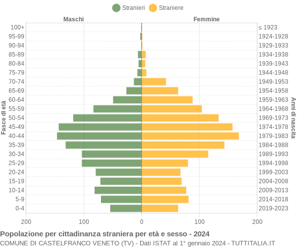 Grafico cittadini stranieri - Castelfranco Veneto 2024