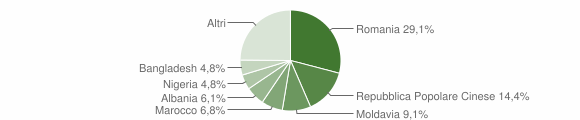 Grafico cittadinanza stranieri - Saonara 2006