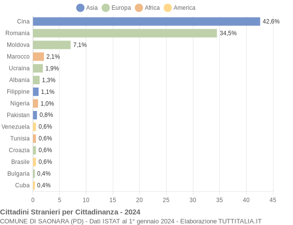 Grafico cittadinanza stranieri - Saonara 2024