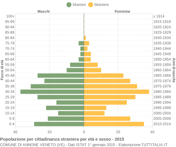 Grafico cittadini stranieri - Annone Veneto 2015