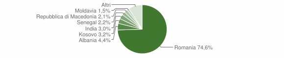 Grafico cittadinanza stranieri - Mansuè 2010