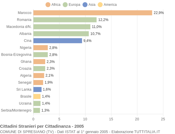 Grafico cittadinanza stranieri - Spresiano 2005