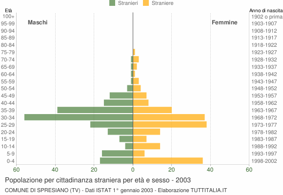 Grafico cittadini stranieri - Spresiano 2003